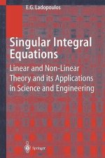 Singular Integral Equations