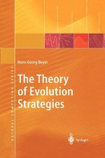 Theory of Evolution Strategies