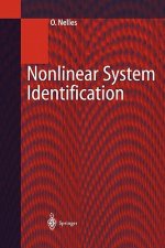 Nonlinear System Identification