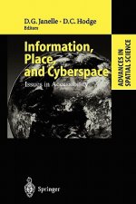 Information, Place, and Cyberspace