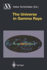 Universe in Gamma Rays