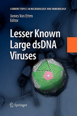 Lesser Known Large dsDNA Viruses