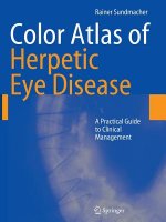Color Atlas of Herpetic Eye Disease
