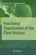 Functional Organization of the Plant Nucleus