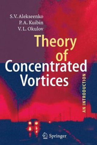 Theory of Concentrated Vortices