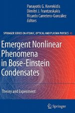 Emergent Nonlinear Phenomena in Bose-Einstein Condensates