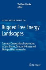 Rugged Free Energy Landscapes
