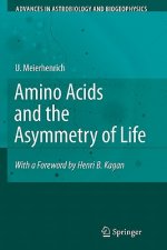 Amino Acids and the Asymmetry of Life