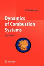 Dynamics of Combustion Systems
