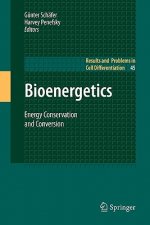 Bioenergetics