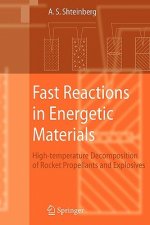 Fast Reactions in Energetic Materials