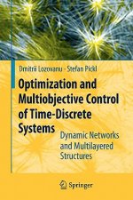 Optimization and Multiobjective Control of Time-Discrete Systems