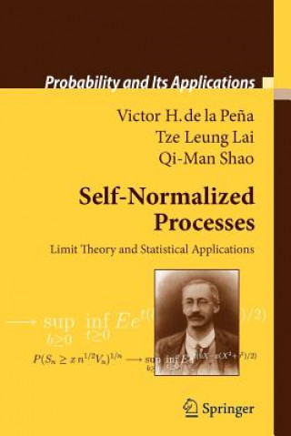 Self-Normalized Processes