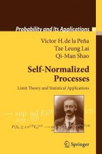 Self-Normalized Processes