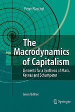 Macrodynamics of Capitalism