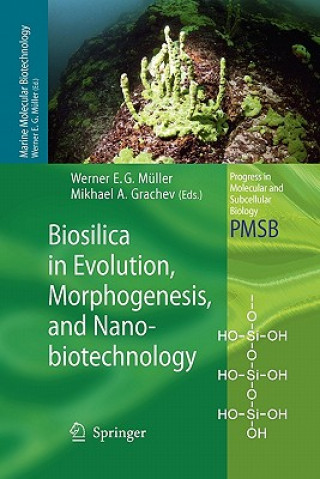 Biosilica in Evolution, Morphogenesis, and Nanobiotechnology
