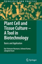 Plant Cell and Tissue Culture - A Tool in Biotechnology