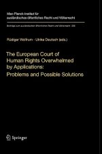 European Court of Human Rights Overwhelmed by Applications: Problems and Possible Solutions