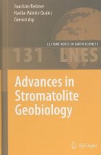 Advances in Stromatolite Geobiology