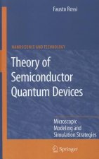 Theory of Semiconductor Quantum Devices