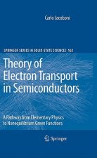 Theory of Electron Transport in Semiconductors