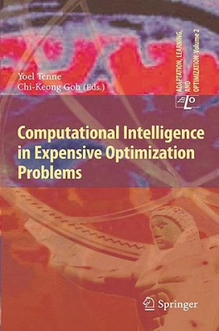 Computational Intelligence in Expensive Optimization Problems