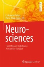 Neurosciences - From Molecule to Behavior: a university textbook