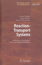Reaction-Transport Systems