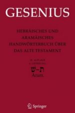 Hebraisches und Aramaisches Handworterbuch Uber das Alte Testament