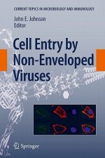 Cell Entry by Non-Enveloped Viruses