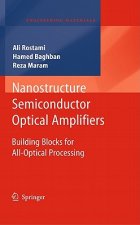 Nanostructure Semiconductor Optical Amplifiers