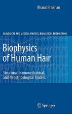 Biophysics of Human Hair