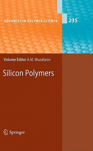 Silicon Polymers