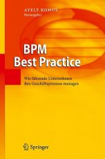 Bpm Best Practice