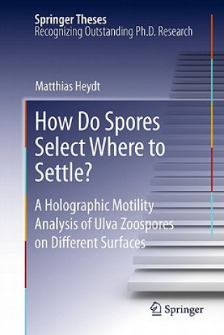 How Do Spores Select Where to Settle?