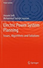 Electric Power System Planning