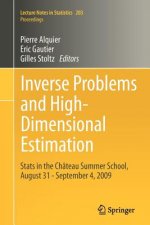 Inverse Problems and High-Dimensional Estimation