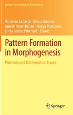 Pattern Formation in Morphogenesis