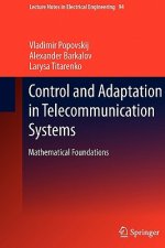Control and Adaptation in Telecommunication Systems