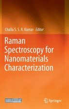 Raman Spectroscopy for Nanomaterials Characterization