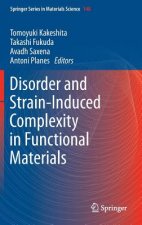 Disorder and Strain-Induced Complexity in Functional Materials