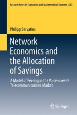 Network Economics and the Allocation of Savings