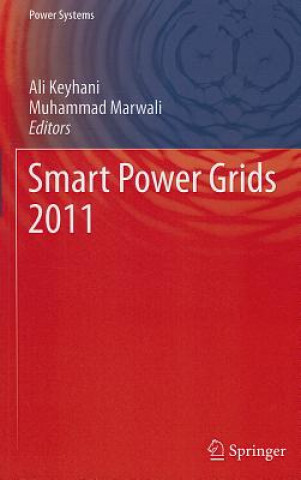 Smart Power Grids 2011