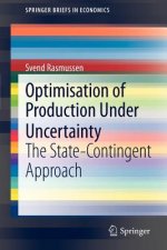 Optimisation of Production Under Uncertainty