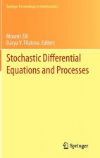 Stochastic Differential Equations and Processes