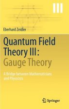 Quantum Field Theory III: Gauge Theory