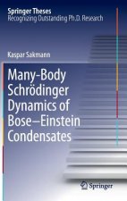 Many-Body Schroedinger Dynamics of Bose-Einstein Condensates
