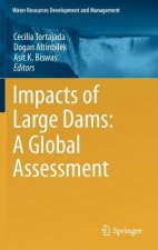 Impacts of Large Dams: A Global Assessment