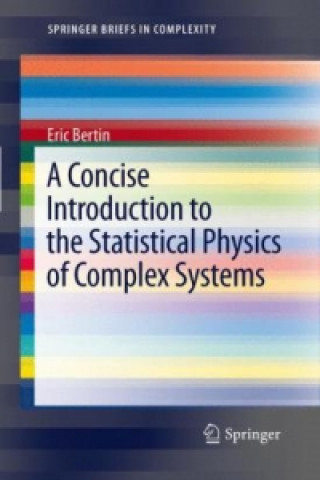 Concise Introduction to the Statistical Physics of Complex Systems