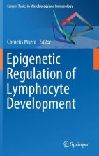 Epigenetic Regulation of Lymphocyte Development